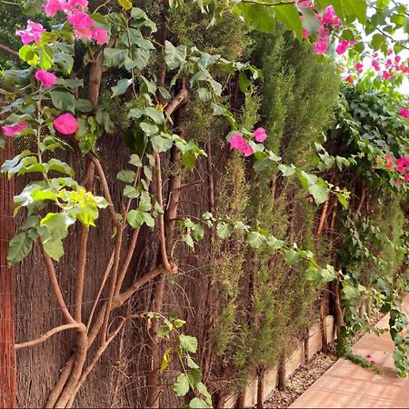 Arruzafa Home Kordoba Bagian luar foto