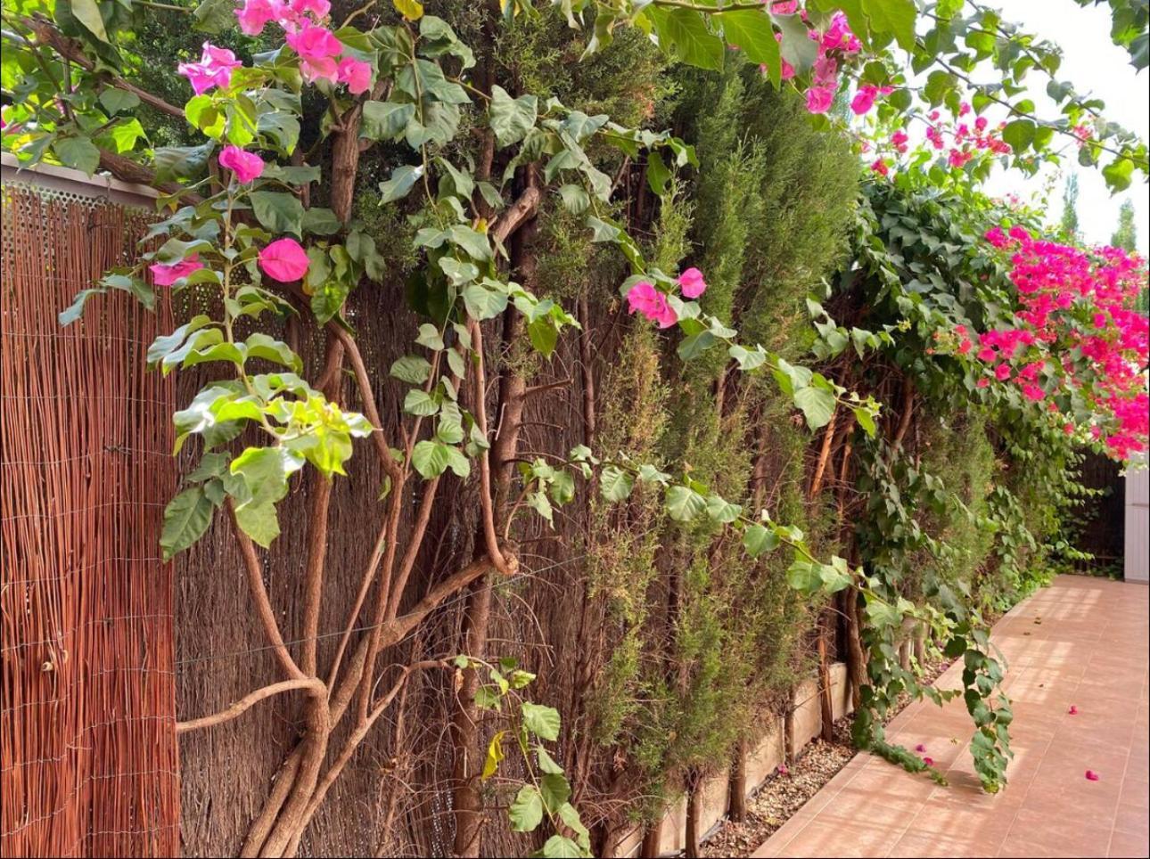 Arruzafa Home Kordoba Bagian luar foto